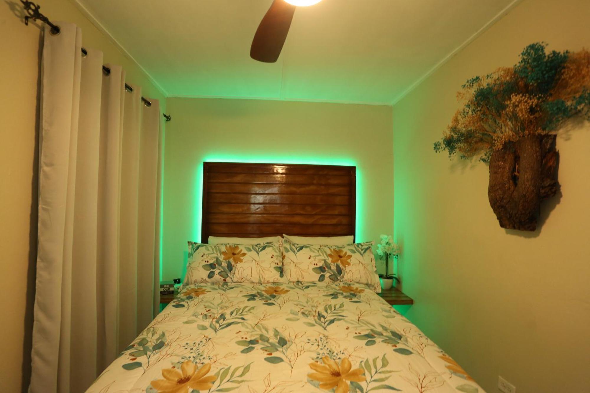 Hidden Gem Apartment Кингстън Екстериор снимка